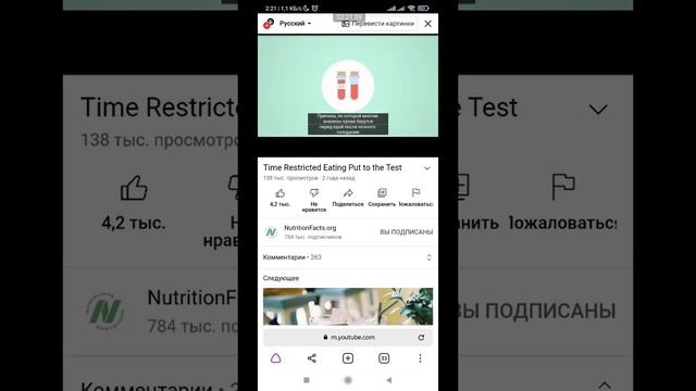 пример перевода видео в Яндекс.браузере в смартфоне на примере видео от доктора Майкла Грегера