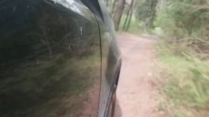 kia Sorento xm fl покатушки в лесу по грязи