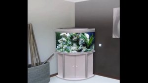 ПРЕИМУЩЕСТВА И НЕДОСТАТКИ УГЛОВОГО АКВАРИУМА