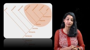 Phylogenetic tree I Clade I Monophyletic I Paraphyletic I Polyphyletic II Evolution