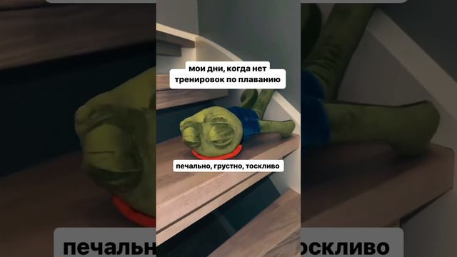 Тренировки