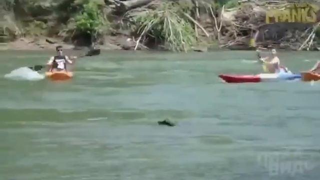 Человек в воде с крокодилом? смотреть онлайн