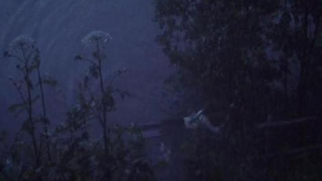 Пелагея и белый бульдог (2009)