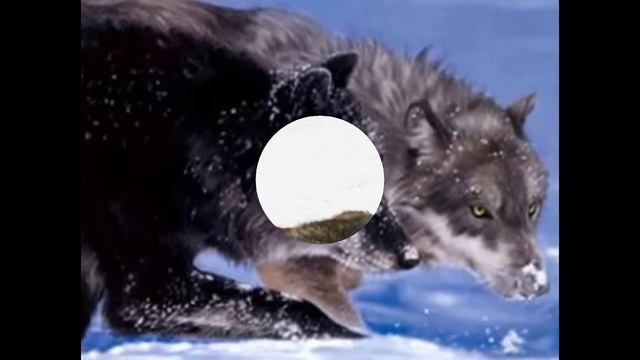 Не большая история 3 друзей смотреть онлайн