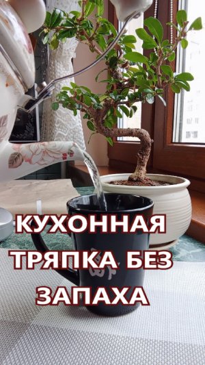 кухонная тряпка ббыт на кухне, домашняя уборка

#shorts 

САЛАТЫ НА КАНАЛЕ :    https://wwwез запаха