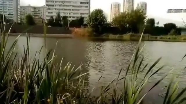 Передельцевский пруд. смотреть онлайн