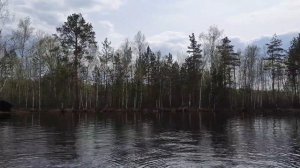 Рыбалка за БОРОВСКИМ озером|Урочище БОРОВСКАЯ ЗАНОГА