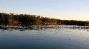 Fishing.  Lake Balkhash. Kazakhstan. Рыбалка на Балхаше, Казахстан