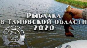 Рыбалка на спиннинг и поплавочную удочку летом. Тамбовская область. Щука, окунь, линь и прочее