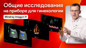 УЗИ общего профиля на аппарате для акушерства и гинекологии Mindray Imagyn i9