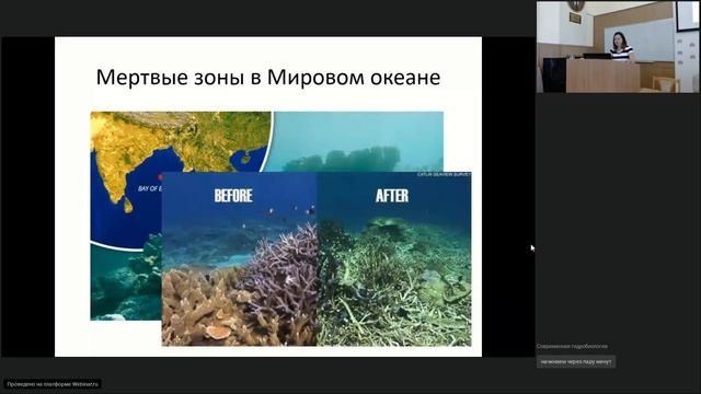 ИнБЮМ Школа-семинар-2020 Андреева А.Ю. - Иммунная система двустворчатых моллюсков и особенности ее а