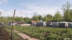 Глухих Deaf. Новости,купит песок и дерево.