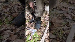 Когти для ползания по деревьям