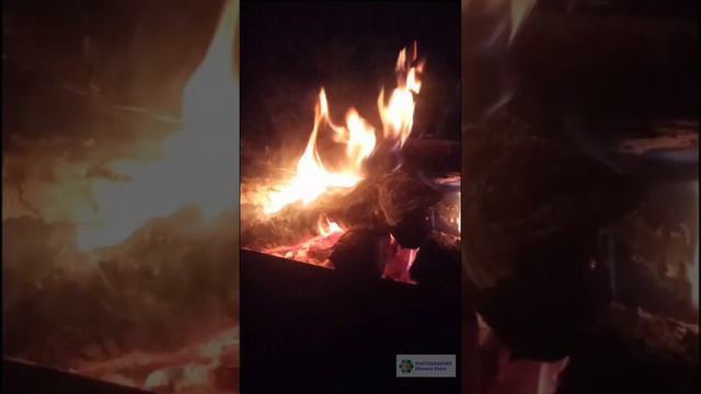 Мудрость Жизни в красивом видео. #shorts