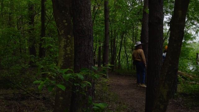 Ilford XP2 Super смотреть онлайн