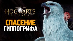 ПОЛЕТУШКИ НА ГИППОГРИФЕ - HOGWARTS LEGACY #10