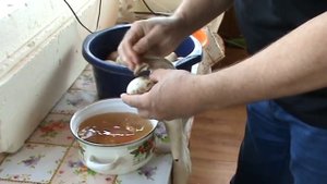 Можно ли мыть яйца перед закладкой в инкубатор?
