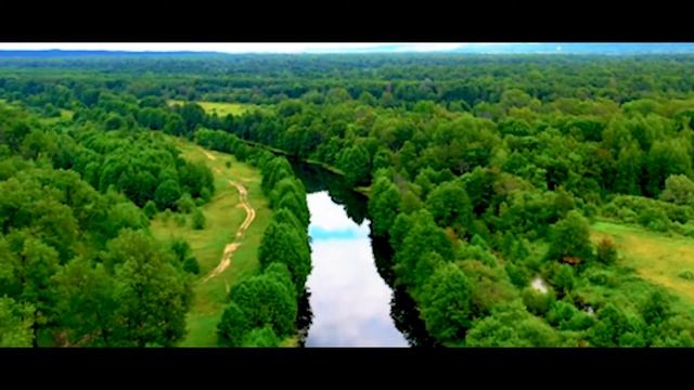 Владимир Чиж. Да, я любил смотреть онлайн
