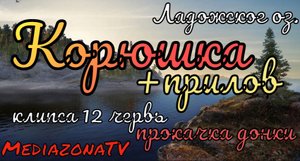 #рр4 Ладожское оз. Корюшка + прилов