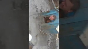 Как правильно залезть в собачью будку