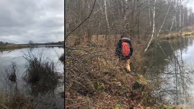 Окрестности деревни Ястребовка - Песочня, Калужская область.
