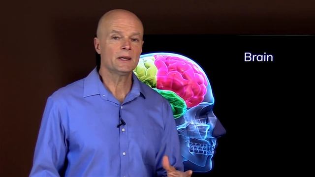 What If You Stop Eating Sugar For 30 Days? смотреть онлайн