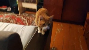 ROOM TUOR. В коммуналке вчетвером. Румтур коммунальной квартиры. Комната 16м2.