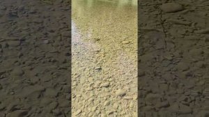 рыбалка в отрадненском районе