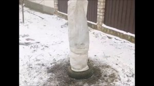 Укрытие хурмы на зиму в холодном климате.