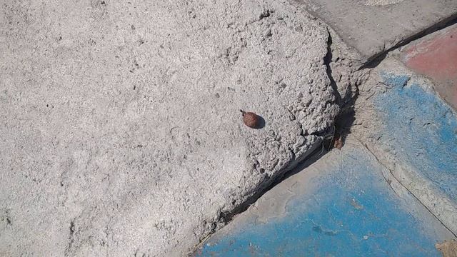 Каппадокия, Гёреме, кусочек завтрака в Maron Stone House. смотреть онлайн