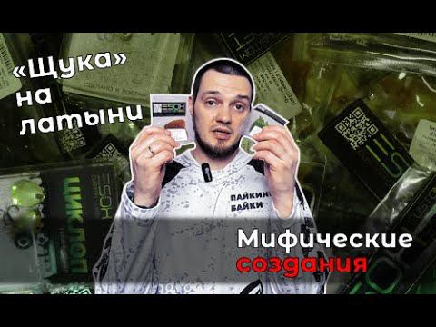 Загадочные ESOX. Латынь и пакет приманок на пробу