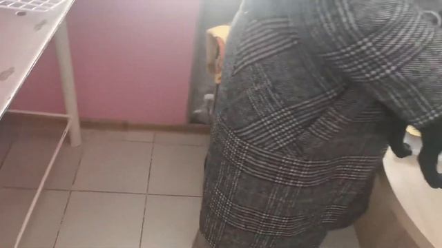 Мопс первая прививка реакция . смотреть онлайн