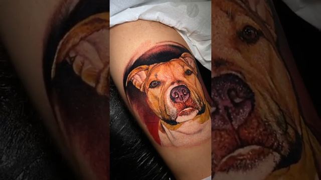 Realistic Dog Tattoo 💉💉💉