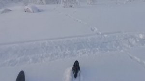 Динго т 125 снег просто там где не ездил никто