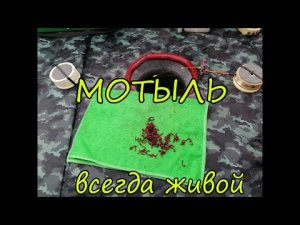 Надежное хранение мотыля зимой на рыбалке