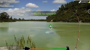 Аравана серебристая my fishing world