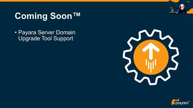 Payara Platform 6 Enterprise Edition is Here! смотреть онлайн