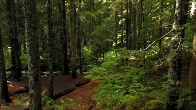 Гарри Поттер и Философский камень. смотреть онлайн