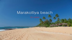 Пляжный отдых в Шри-Ланке - песчаный пляж Мараколлия   (Marakolliya beach)