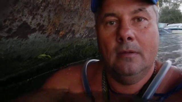 Моржи Придунавья.Акация 10.11.12 смотреть онлайн