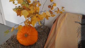 Фотозоны ко Дню учителя. София Ирхужина, ОЦ НЬЮТОН