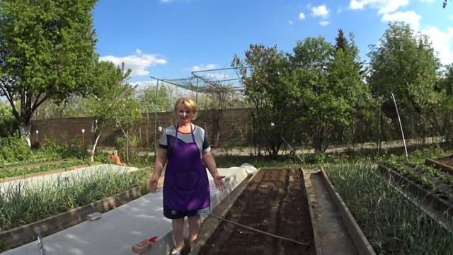 Морковь. Секрет посева весной, урожая в два раза больше. смотреть онлайн