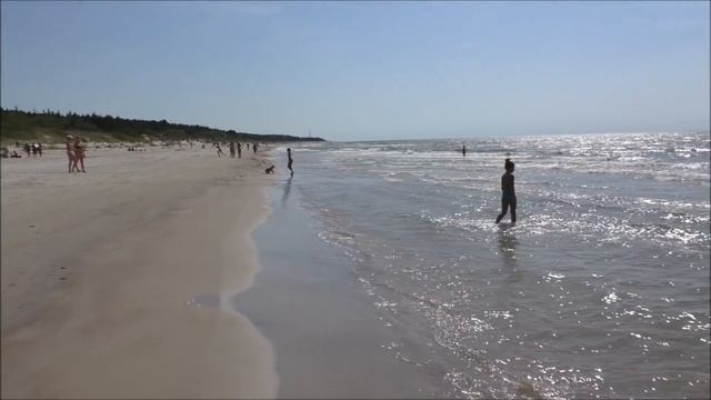 15. ?SWIM WITH?УКРОТИТЕЛЬ ВОЛНы ? смотреть онлайн