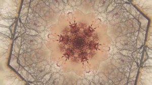 Пандемия йододефицита. Все, что вы не знали о йоде. Хочешь истребить нацию, убери из ее рациона йод