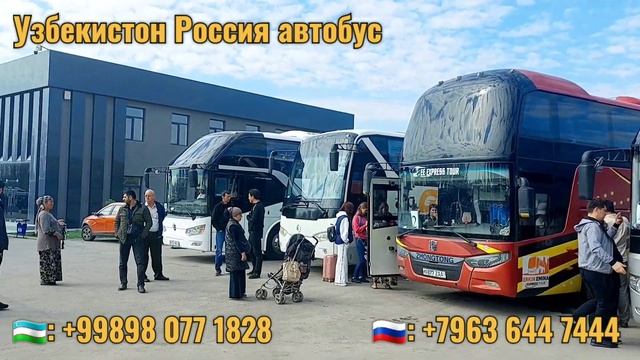 Ташкент Москва автобус | Узбекистан Россия автобус 2023