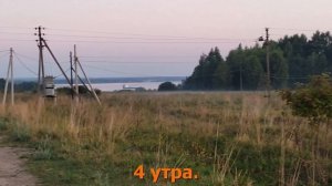 Будни на ферме. Борщевик, лошади и овцы.