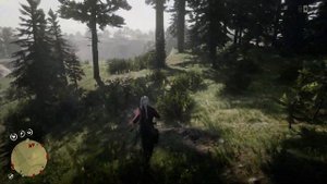 Карта сокровищ Хоукс-Ай-Крик (все места) в Red Dead Redemption 2 Online PC