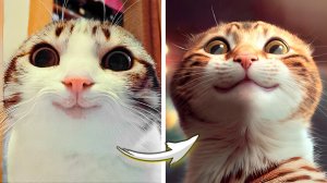 Мемы с Котами глазами ИИ