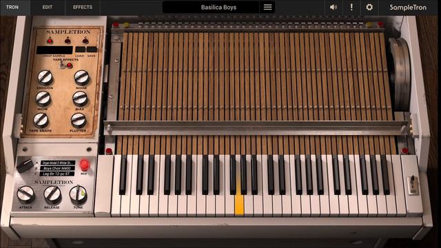 RICH BEAUTIFUL MELLOTRON TAPE ORGAN FROM SAMPLETRON