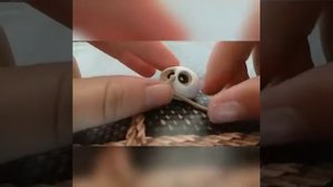 Сова/ Полимерная глина/ как сделать сову брелок из полимерной глины